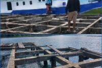 Kondisi pelabuhan Desa Tokaka Gane Barat Utara, Halmahera Selatan
